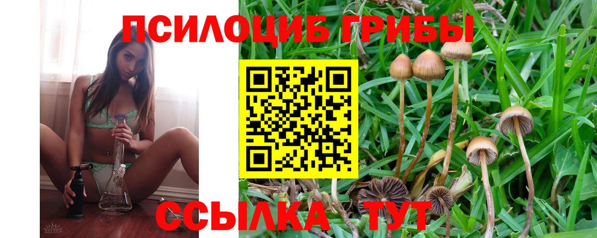 Псилоцибиновые грибы ЛСД  Вход с VPN  Бирск 