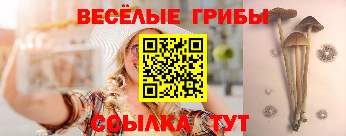 Псилоцибиновые грибы ЛСД Бирск